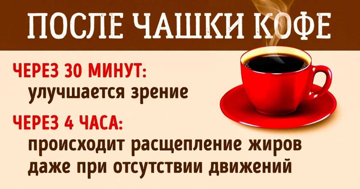 Кафе в историческом центре